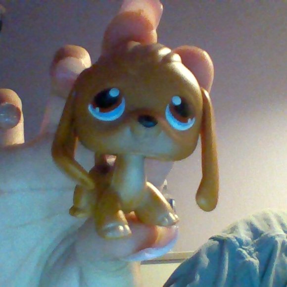 Littlest Pet Shop~#16~Beagle~Puppy Dog~White Brown~Brown Dot Eyes Red Magnet - Picture 1 of 1